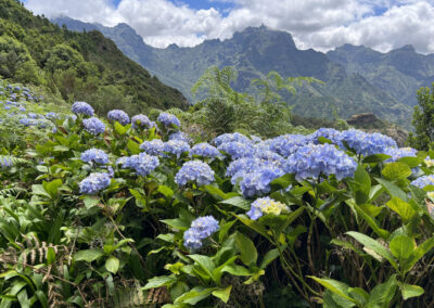 Jóga a trek MADEIRA s lektorkou Simona Josefová  20.9. – 27.9.2025POUZE NÁHRADNÍCI